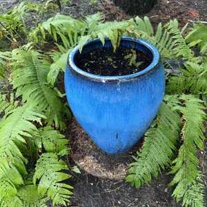 Beautiful glazed pottery planter