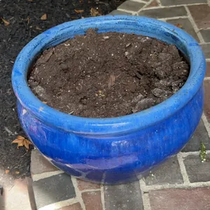Large garden pot - blue pottery