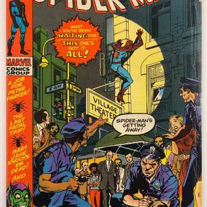 Amazing Spider-Man #96 - Marvel - 1971
