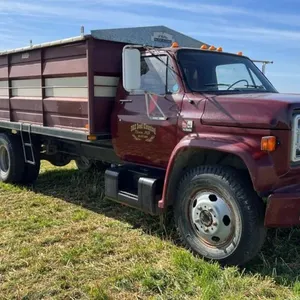 1980 GMC 6000 s/a Grain truck, 56,484 showing,  VIN: T16DAAV613282, Owner: David R Cook, Seller: Fraser Auction ____________________