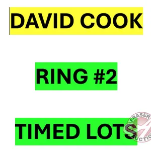 There are many more items to bid on in this sale. The remaining items will be sold by TIMED Online Selling. Please go to RING #2 for all DAVID COOK'S 
