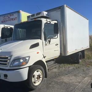 2006 Hino S/A Van Truck