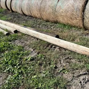 Asst’d poles and timbers, various lengths