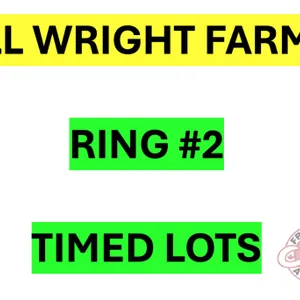 There are many more items to bid on in this sale. The remaining items will be sold by TIMED Online Selling. Please go to RING #2 for ALL WRIGHT FARMS 