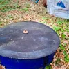 Poly mineral feeder