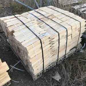 Pallet of 12" Wooden Stakes
 UNRESERVED