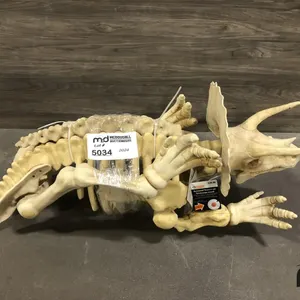 Animated Triceratops Decoration 
 UNRESERVED