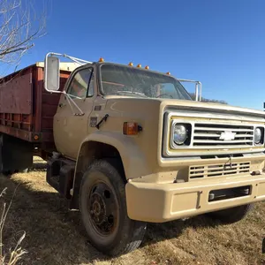 Chevrolet C60 S/A Grain Truck (Non-Runner)
 UNRESERVED