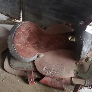 16" Saddle
 UNRESERVED
