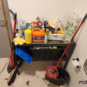 Shelf of Cleaning Supplies and More
 UNRESERVED
