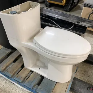 Water Ridge One-Piece Toilet (Missing Tank Lid)
 UNRESERVED
