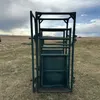 Hi-Hog Palpation Cage
