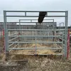Lemsco Maternity Pen