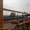 (2) tire racks