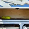 2006 Chevrolet  C4500 bucket truck