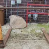 60" L loader forks