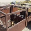 (8) lift baskets