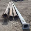 (5) light poles