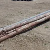 (5) light poles