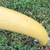 Countyline 602377 post hole auger 