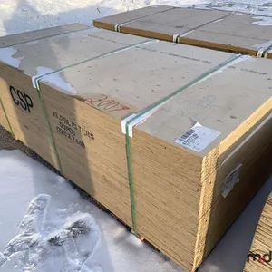 Quantity of (50) 5/8" 4x8 CSP/DFP No Stamp Plywood (Unused)
 UNRESERVED