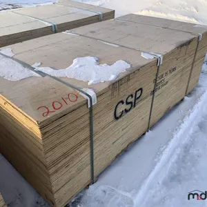 Quantity of (50) 5/8" 4x8 CSP/DFP No Stamp Plywood (Unused)
 UNRESERVED