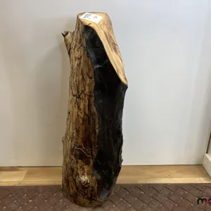 Decorative Cedar Stump
 UNRESERVED
