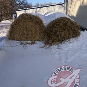 round bale of 2 year old oat straw.