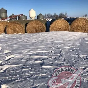 round bale of grass mix hay approx 1400 lbs 2024 season (no feed test). Seller CAN NOT load