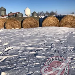 round bale of grass mix hay approx 1400 lbs 2024 season (no feed test).