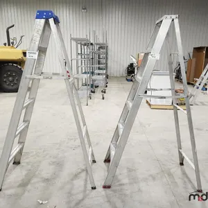 (2) Step Ladders
 UNRESERVED