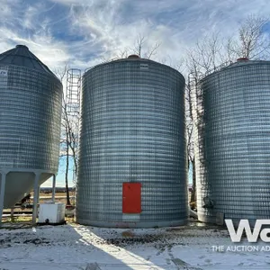 BEHLEN 19 FT 6500 +/- BUSHEL GRAIN BIN
