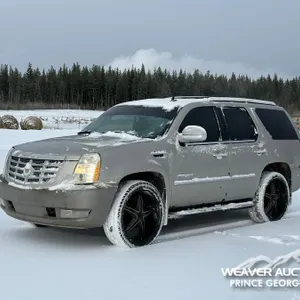 2007 CADILLAC ESCALADE SPORTS UTILITY VEHICLE