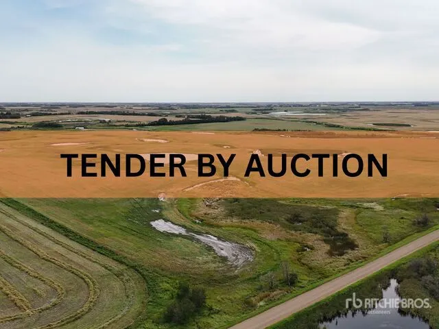 Young Farmland Tender By Auction