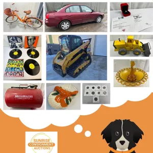 April - Sunrise Consignment Auction 