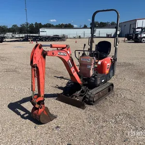 Texas Regional Auction, USA