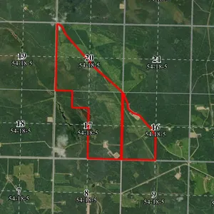Government of Alberta - Grazing License Rights - PUBLIC AUCTION (Multiple Municipalities, AB)