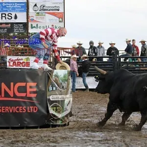 2026 Czar Lake Bullarama Auction - Sky Box & Shark Cage