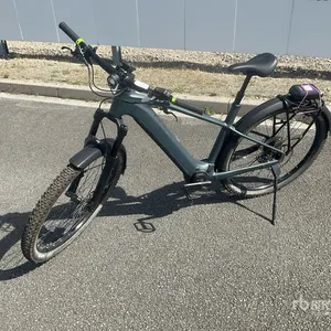 Germany Unreserved Auction, DEU