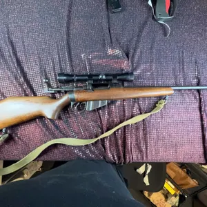 FIRE ARMS AND AMMO 