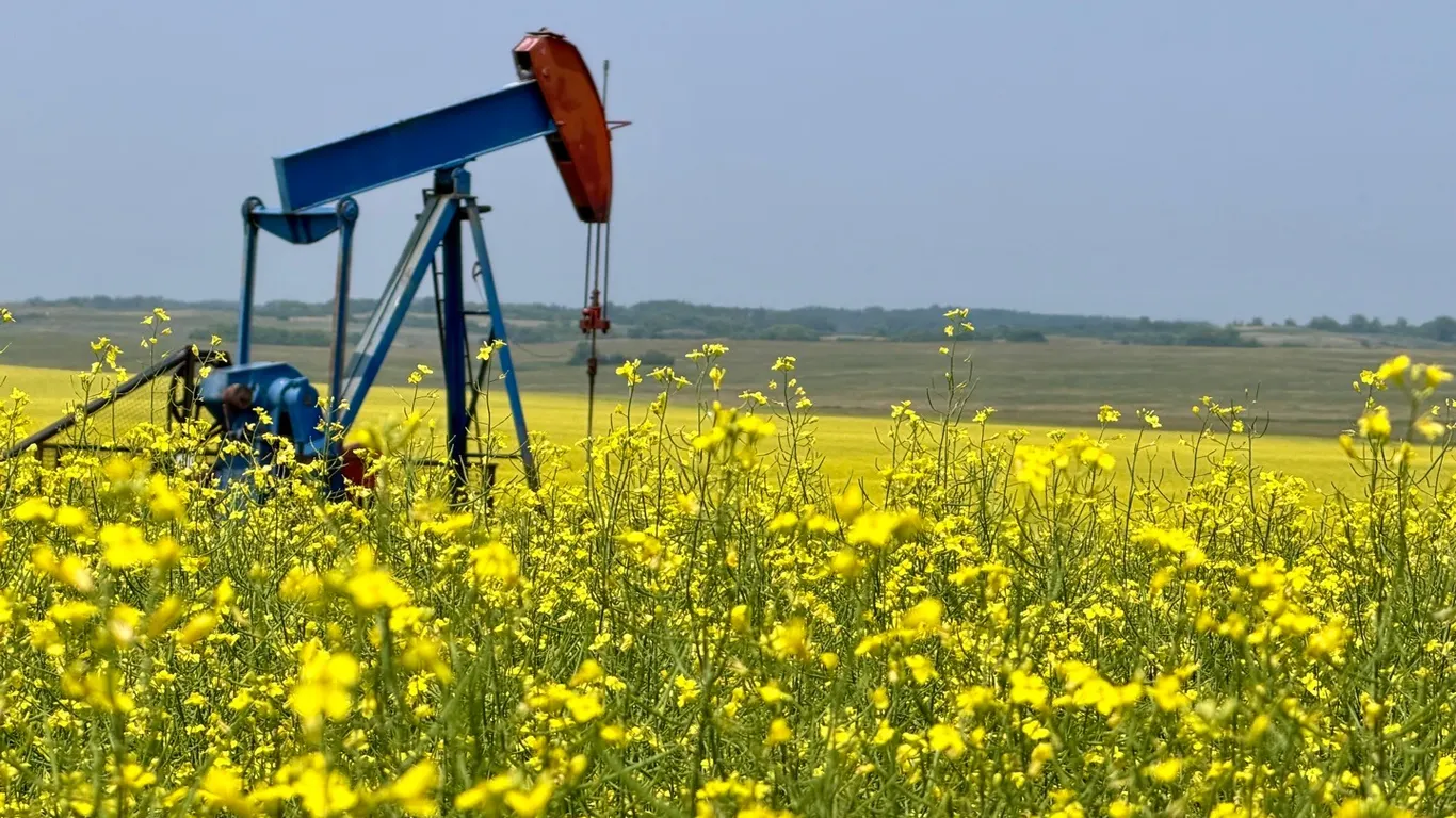 RM of Moose Mountain #63- Hodgson Oil Holdings Ltd. Timed Online Land & Mineral Rights Auction