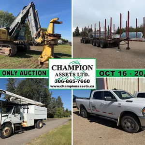 OCTOBER ONLINE AUCTION