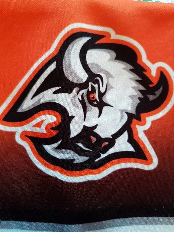 Melita Minor Hockey NFL Fundraiser Auction