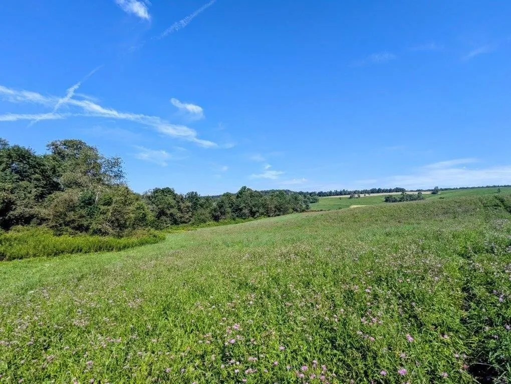 4 Building Sites for Sale in Floyd VA