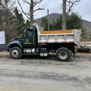 The Town of Sandgate-VT #48965