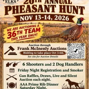 Stavely Elks Pheasant Hunt Auction