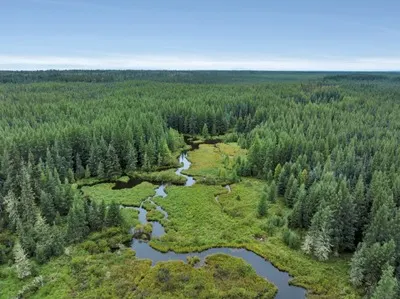 Unreserved Real Estate Sale for Ian Robertson - Niton Junction, AB