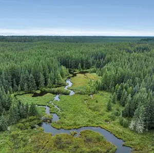 Unreserved Real Estate Sale for Ian Robertson - Niton Junction, AB