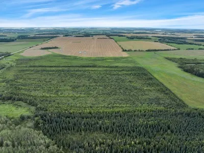 Real Estate Auction - Mayerthorpe, AB
