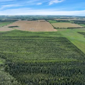 Real Estate Auction - Mayerthorpe, AB